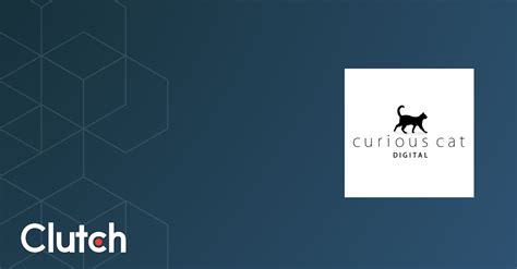Curious Cat Digital Address Data And More