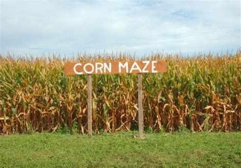 Corn Maze Moline IL | Fun Fall Activities for the Family Quad Cities