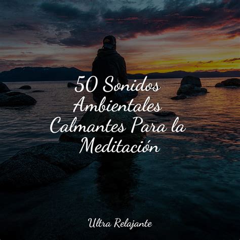 Sonidos Ambientales Calmantes Para La Meditaci N Album By Yoga