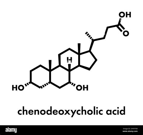 Chenodeoxycholic acid drug molecule. Skeletal formula Stock Vector ...