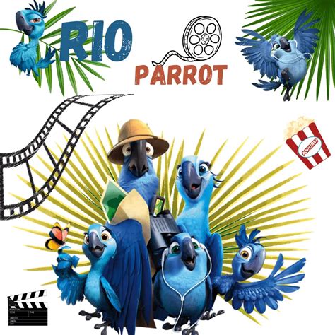 Rio Parrot Rio Bird Movie White Parrot From Rio Rio Bird Movie