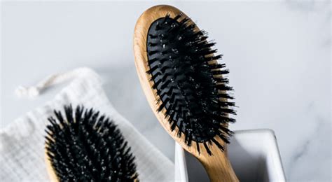 Choisir sa brosse à cheveux Nos Conseils Maison Durable