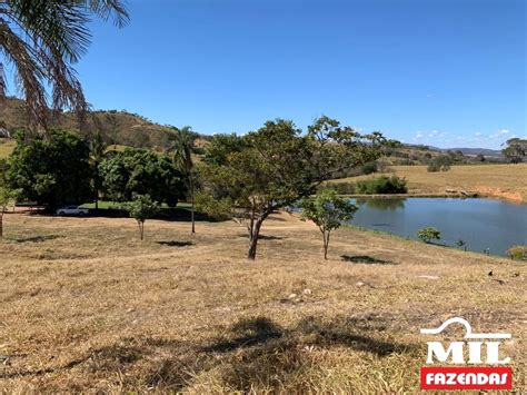 Mil Fazendas Fazenda para Pecuária São 98 Alqueires 474 hectares