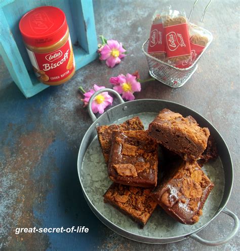 No Egg Lotus Biscoff Brownies Recipe Kitchensrecipe