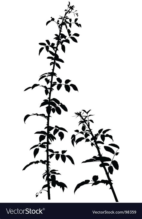 Shrub Silhouette Royalty Free Vector Image Vectorstock