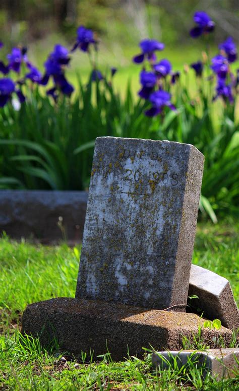 L Pida Sepulcral Cementerio Flores Foto Gratis En Pixabay Pixabay