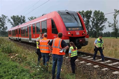 Baum St Rzt Auf Bahnstrecke Bei G Strow