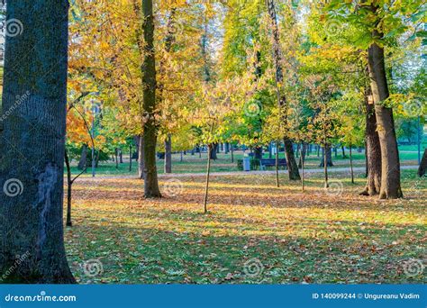 Cluj-Napoca Central Park on a Beautiful Autumn Sunny Day in Romania ...