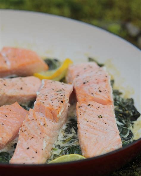 Diabetes Uk Salmon Recipes Antone Worden