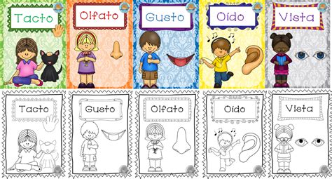 Actividades Para Ense Ar Los Sentidos En Preescolar C Mo Ense Ar