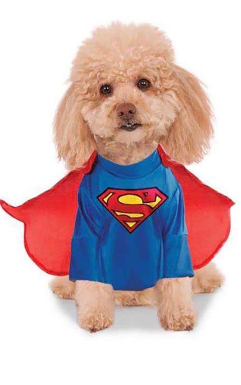 SUPERMAN PET SUPERHERO DOG FANCY DRESS HALLOWEEN COSTUME | eBay