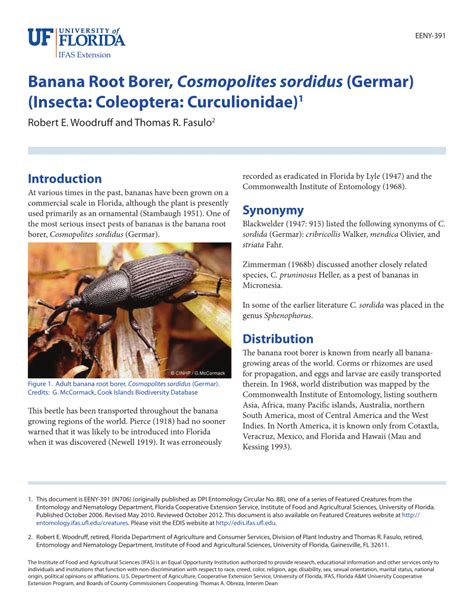 Pdf Banana Root Borer Cosmopolites Sordidus Germar Insecta