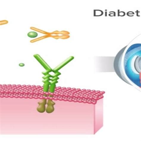 Anti Vegf Treatment For Diabetic Macular Edema Administration Of Download Scientific Diagram