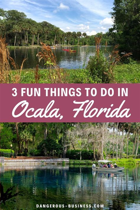 4 Unique Things To Do In Ocala Florida In 2021 Travel Usa Beautiful