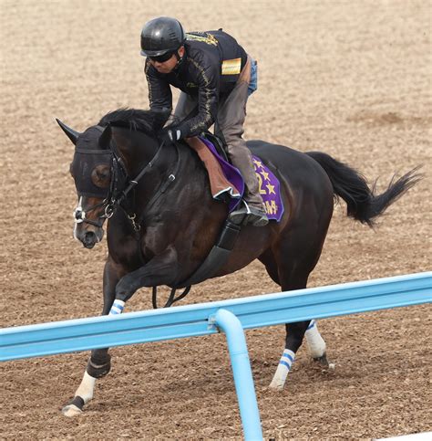 【天皇賞】タイトルホルダー 充実メンタル 栗田師「大きなダメージはなかった」 競馬ニュース Netkeiba