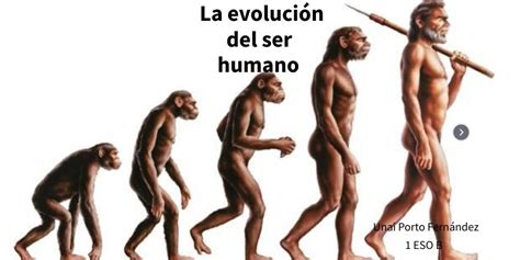 La Evolución Do Ser Humano Historia