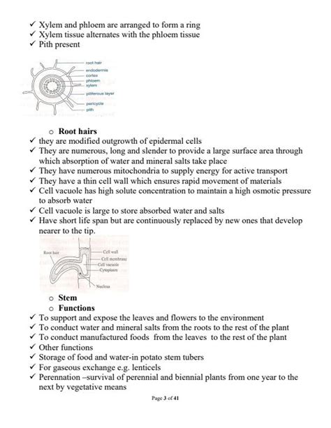 Form 2 Biology Notes On Transport In Plants And Animals 7774