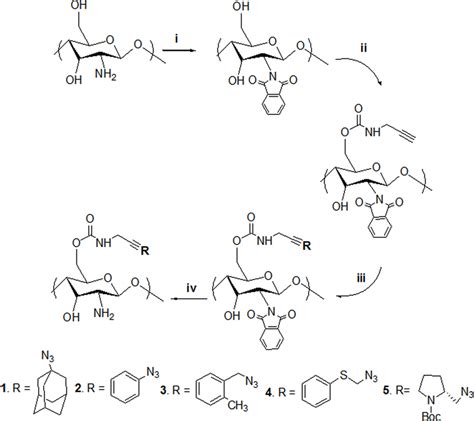 Synthetic Scheme Of Chitosan Derivatives Synthetic Scheme Of Chitosan