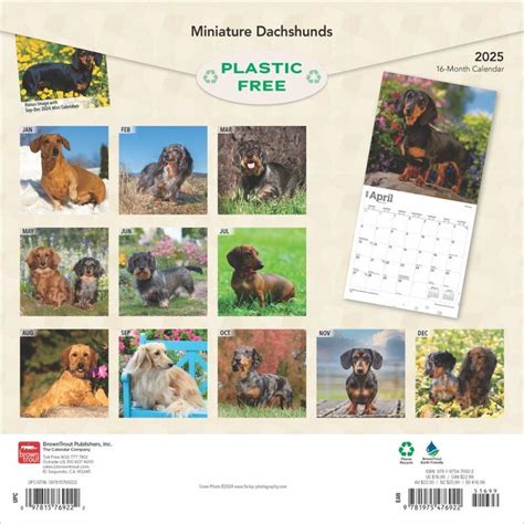 Miniatuur Teckel Kalender Kopen Bestel Eenvoudig Online