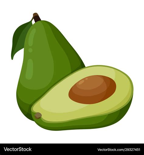 Green Avocado Icon Isolated On White Background Vector Image