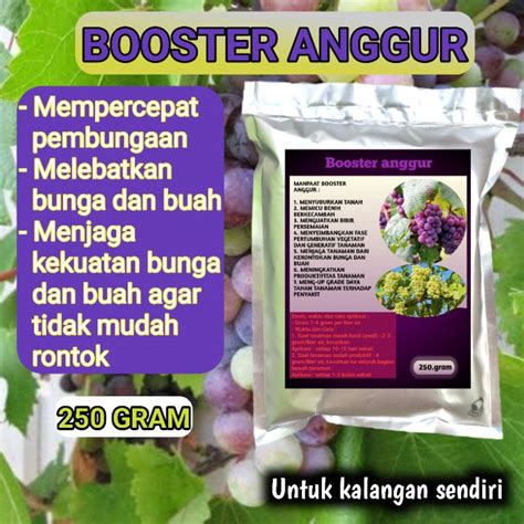 Jual Pupuk Booster Anggur Perangsang Bunga Dan Buah Melebatkan Dan