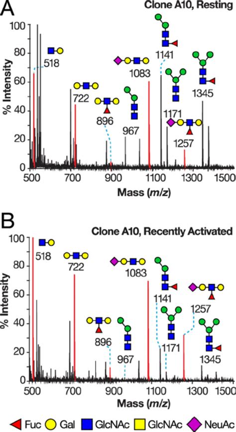 Low Mass Maldi Tof Spectra Of Permethylated N Glycans Derived From