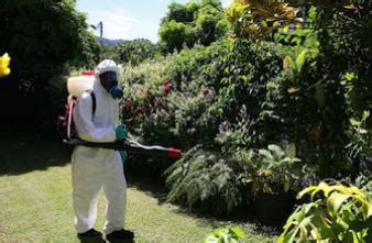 Dengue d autres cas autochtones attendus en Métropole