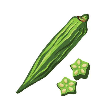 Okra vector illustration icon colored pictogram isolated on plain white ...