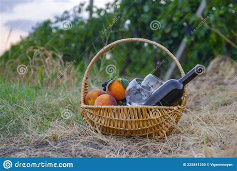 Cesto De Piquenique Vinho E Fruta Foto De Stock Imagem De