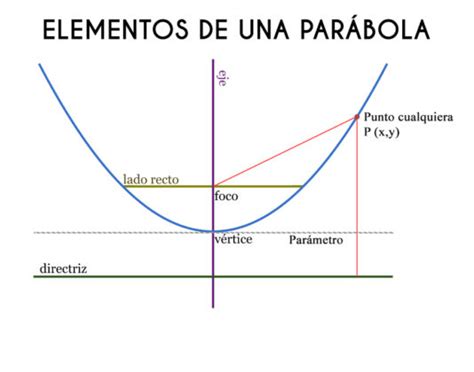 Cu Les Son Los Elementos De La Par Bola Partes Lifeder