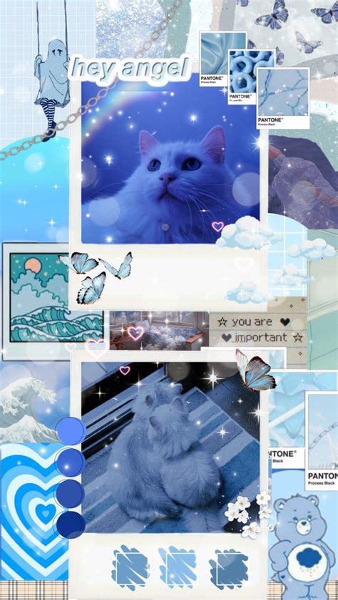 Blue Cat wallpaper