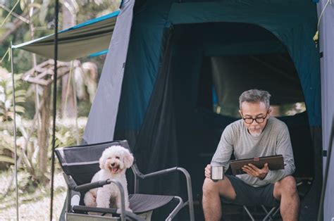 Camping With Dogs: 12 Smart Tips for Happy and Safe Adventures