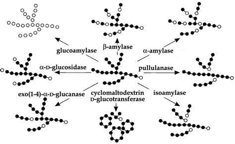 Chromatography As The Major Tool In The Identification And The