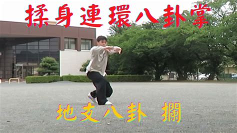 揉身連環八卦掌 地支八卦 第三段之四 攔 64 Palms Form Lan Gao Style Baguazhang YouTube