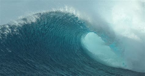 royalty  slow motion stock  shutterstock