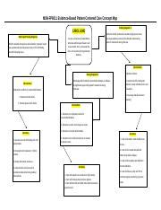 Msnfp Coullladonna Assessment Conceptmap Docx Msn Fp