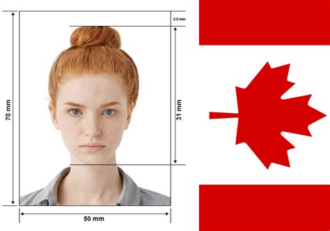 Canadian Passport Photo Full Guide In Smartphone Id