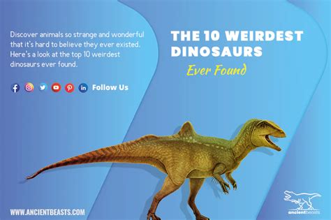 Weirdest Dinosaurs | Unique Creatures | Pre-Historic