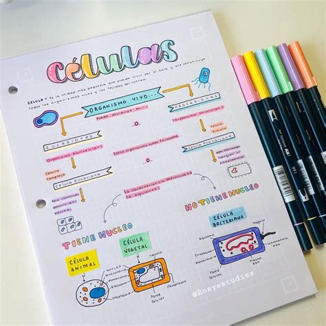 Mapa Conceptual Digital Mapas Conceptuales Bonitos Libreta De Images And Photos Finder