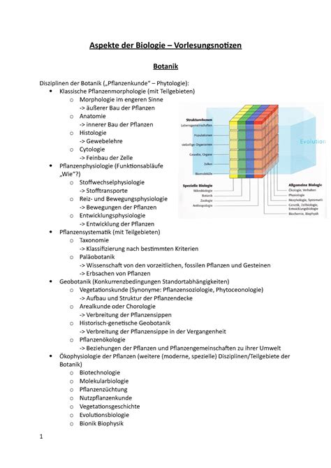 Vorlesung Botanik Aspekte Der Biologie Vorlesungsnotizen Botanik