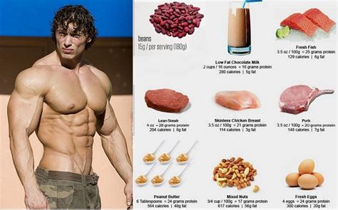 Foods And Benefits Muscle Building