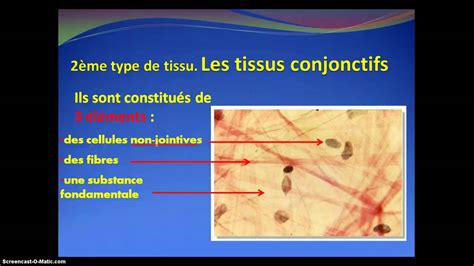 Les Types De Tissus