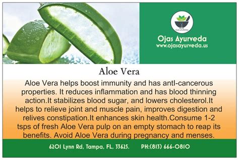 Aloe Vera To Boost Immunity Ojas Ayurveda