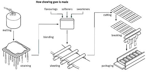 IELTS Task 1: Process of Making Chewing Gum