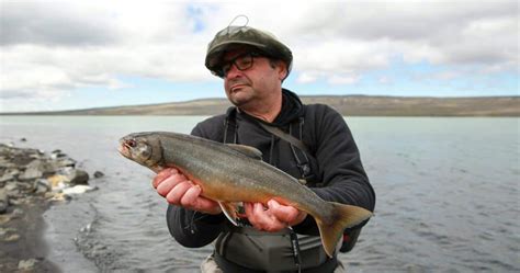 Trout Fishing In Iceland Brown Trout Arctic Char Fly Fishing