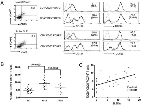 Increased Frequency Of Cd4cd25foxp3 Cells In The Peripheral Blood