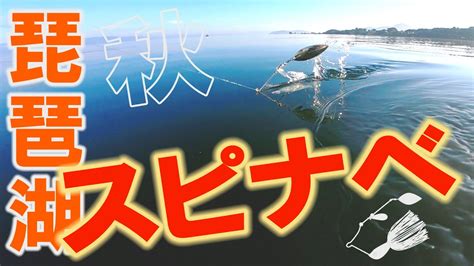 スピナーベイト 秋の琵琶湖【バス釣り】 釣り動画