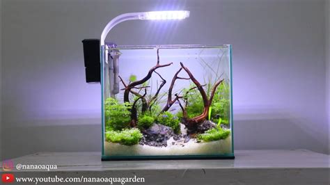 Amazing Mini Jungle In Nano Aquascape Aquascape Mini Tema Hutan Youtube