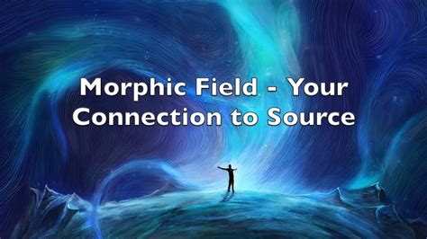 Morphic Field Youtube