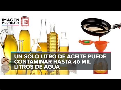 ¿con Qué Aceite Cocinas Profeco Exhibe Marcas De Aceite De Cocina Adulterados